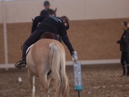 IMG_3120_web